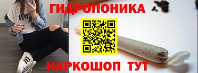 спайс Будённовск