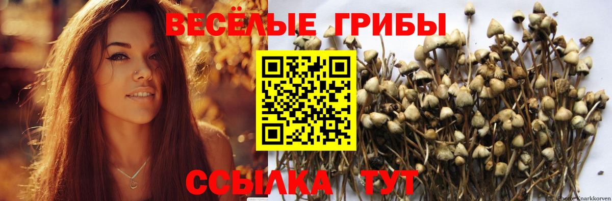 Озёры  Псилоцибиновые грибы Magic Shrooms  Галлюциногенные грибы GOLDEN TEACHER  Вход с VPN 